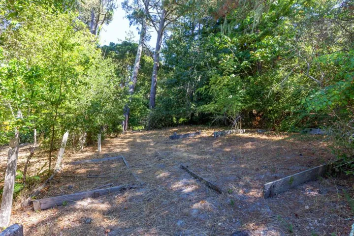 151 Sueno Camino, La Honda, California 94020