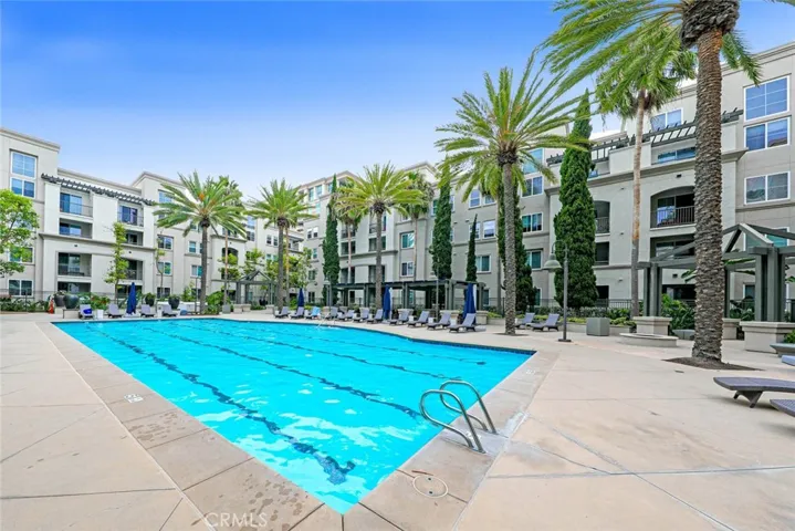 Jr. Olympic sized pool