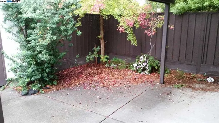 300 Paloma Ter, Fremont, California 94536-2707