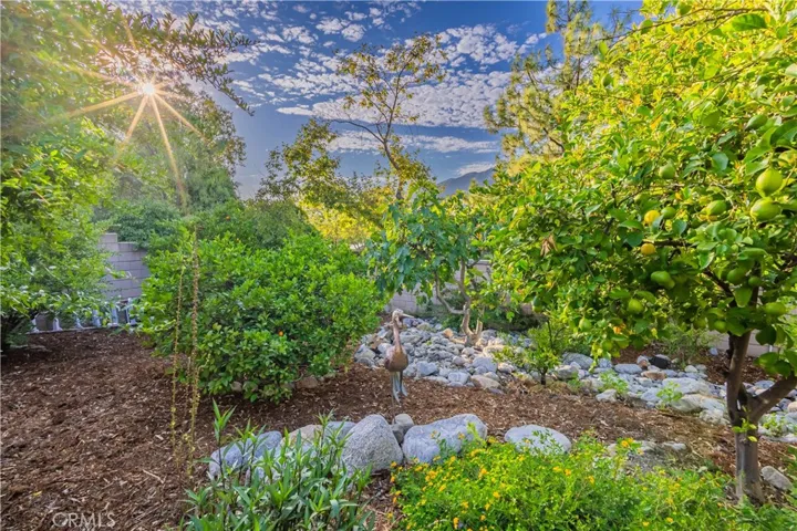 1147 Cooke Avenue, Claremont, California 91711