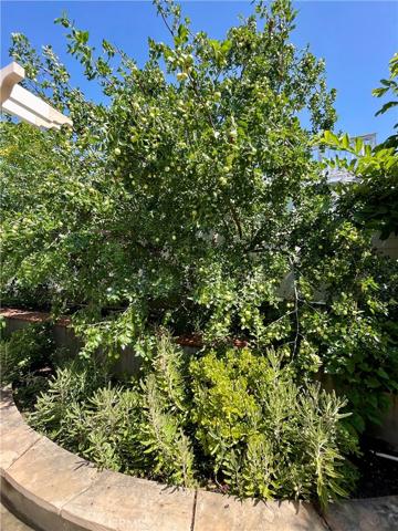 5081 Dutcher Avenue, Irvine, California 92604