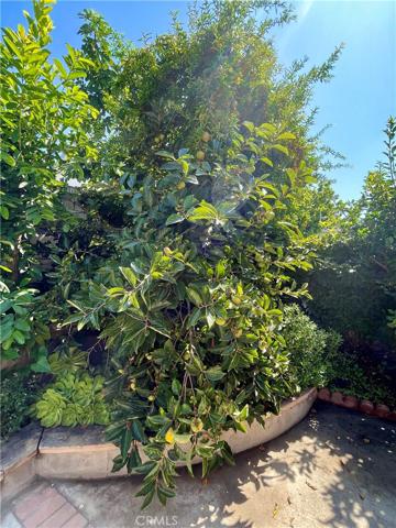 5081 Dutcher Avenue, Irvine, California 92604