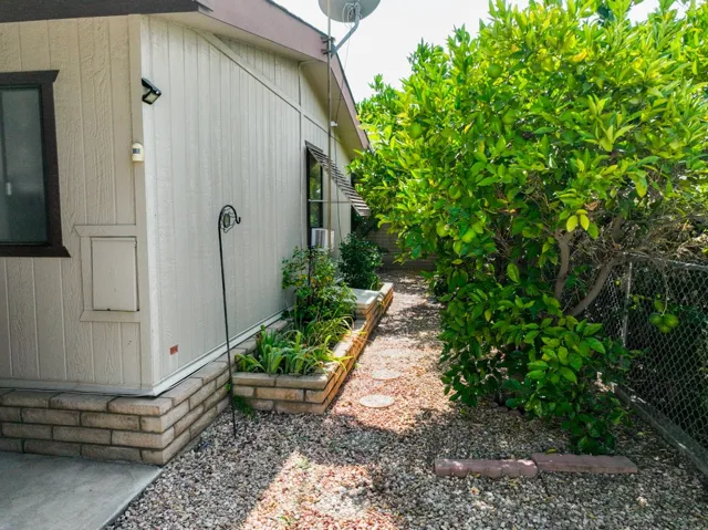 Rear yard