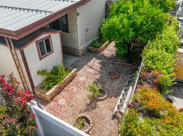 Shed and rear yard