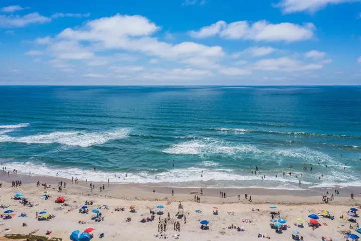 Walk to the Beach and Park