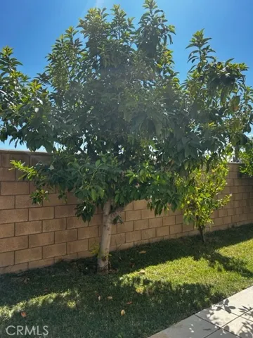 16737 Kalmia Lane, Fontana, California 92336