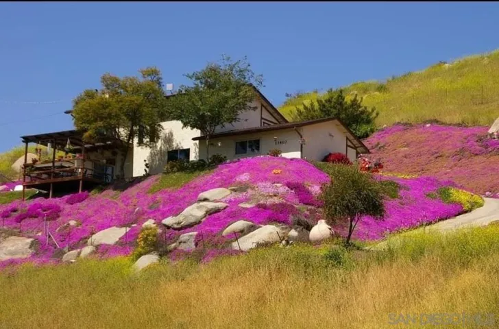 Springtime!
