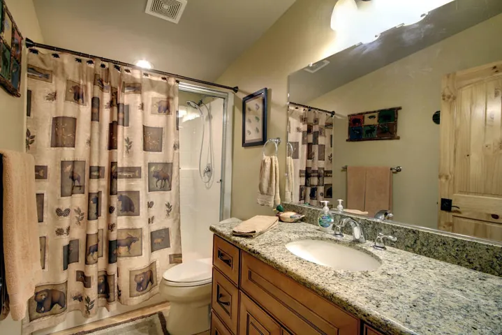 guest-bathroom-2_53185959918_o
