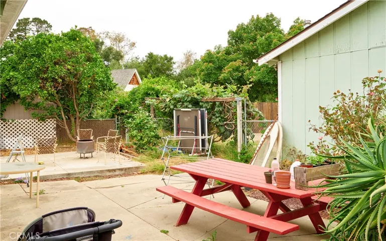 Back yard.