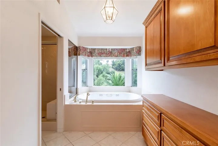 PRIMARY BATH AND SHOWER AREA