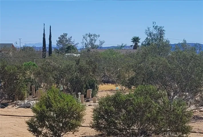Beautiful Desert Living