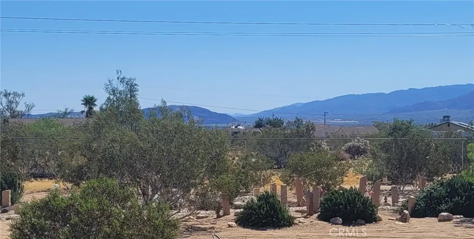 Your Backyard Oasis