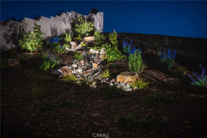 Magical Nights in Your Own Backyard