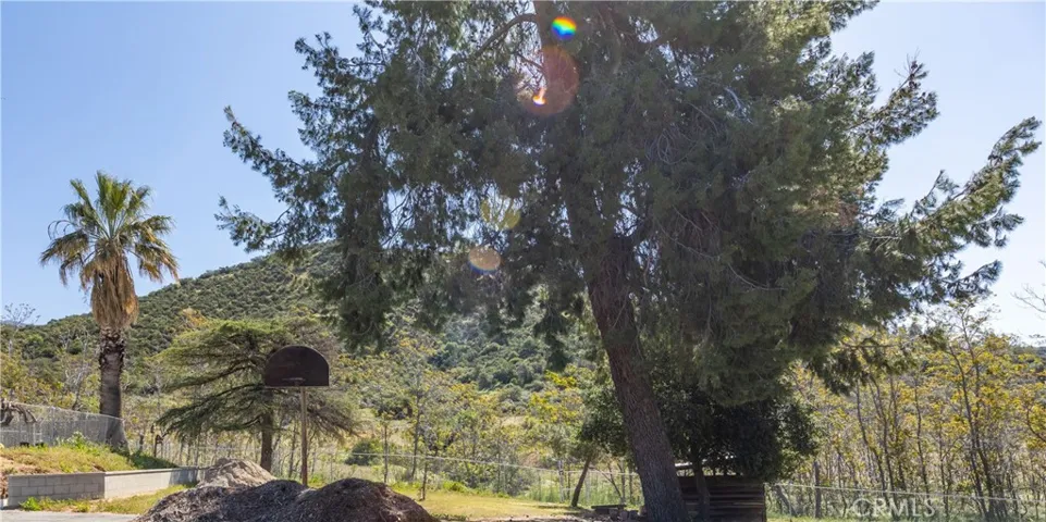 12257 Fremont St, Yucaipa, California 92399