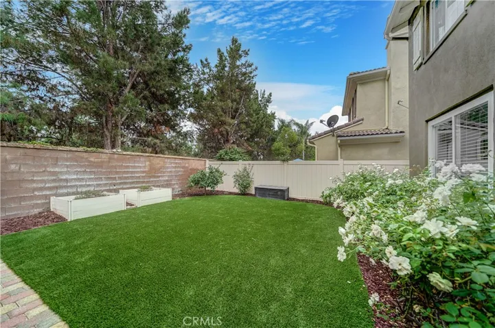 Drought Resistant Backyard.