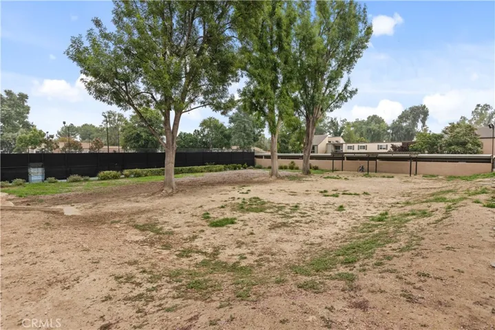 dog park
