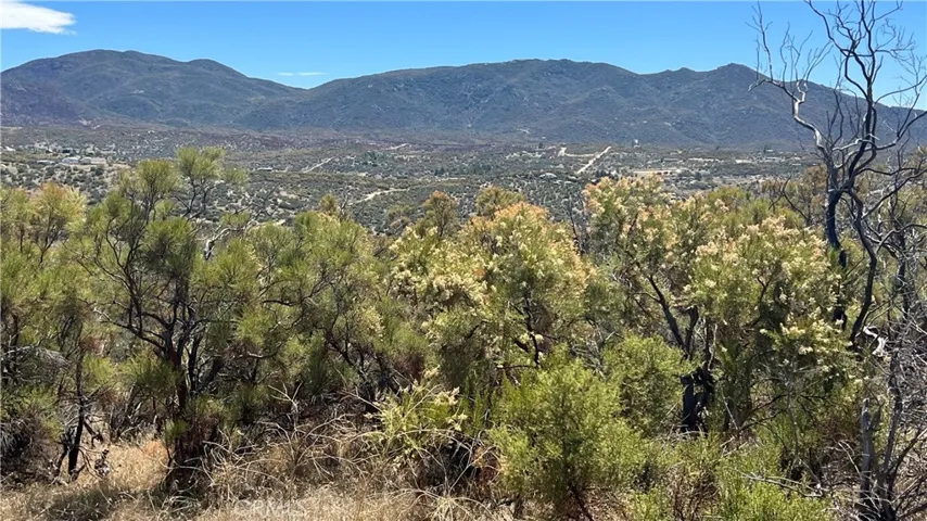 53306 Barber Ln, Aguanga, California 92536