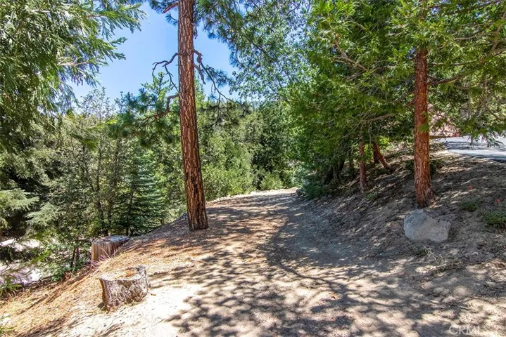53130 Stonewood Canyon Road, Idyllwild, California 92549