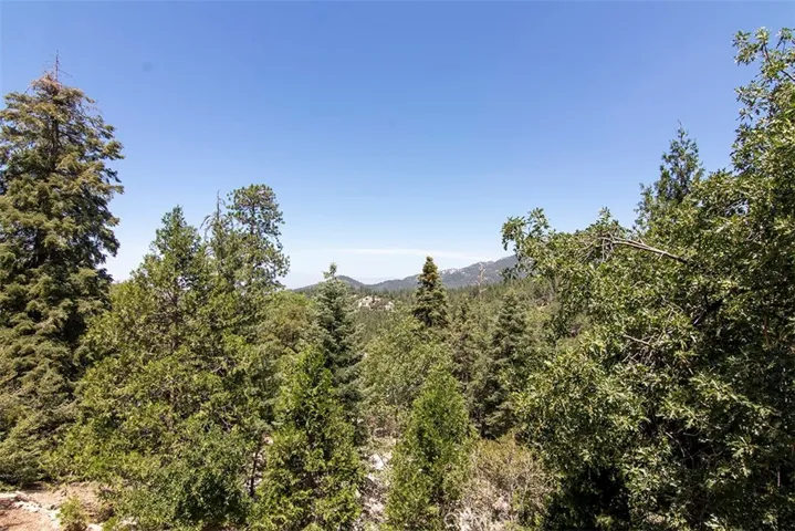 53130 Stonewood Canyon Road, Idyllwild, California 92549