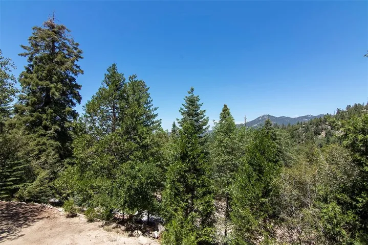53130 Stonewood Canyon Road, Idyllwild, California 92549