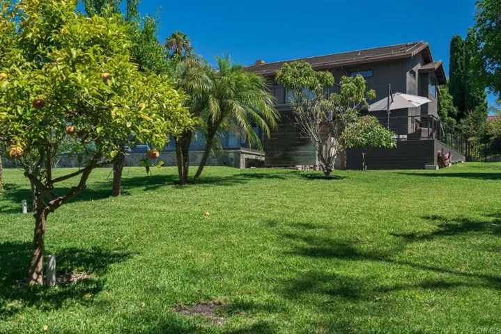Select Fruit Trees on Lower Portion