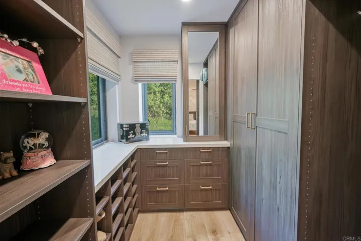Downstairs Guest Bedroom #2 Closet