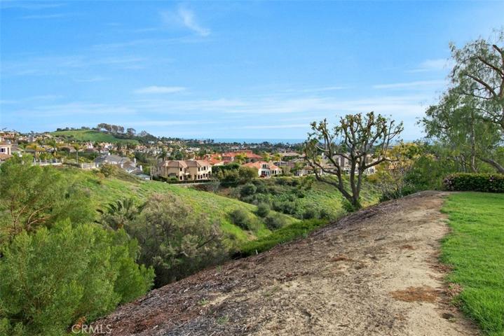 9 Brighton Place, Laguna Niguel, California 92677