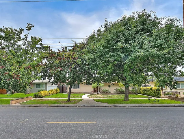 Large front yard with mature trees to provide shade