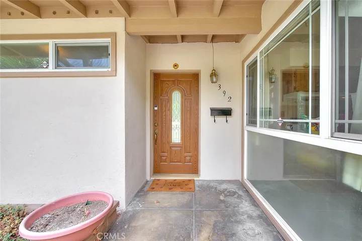 Welcome to 392 West 8th Street