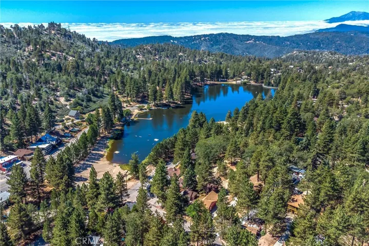 788 Tulip Drive, Green Valley Lake, California 92341
