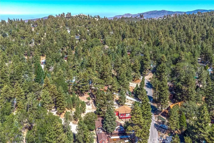 788 Tulip Drive, Green Valley Lake, California 92341