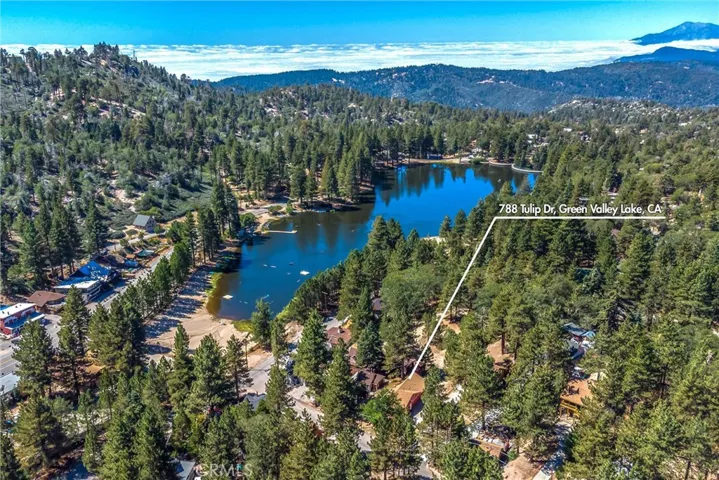 788 Tulip Drive, Green Valley Lake, California 92341