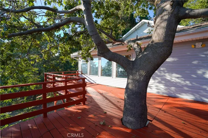 Rear Deck