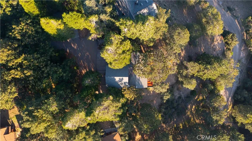 21727 Vista Drive, Cedarpines Park, California 92322