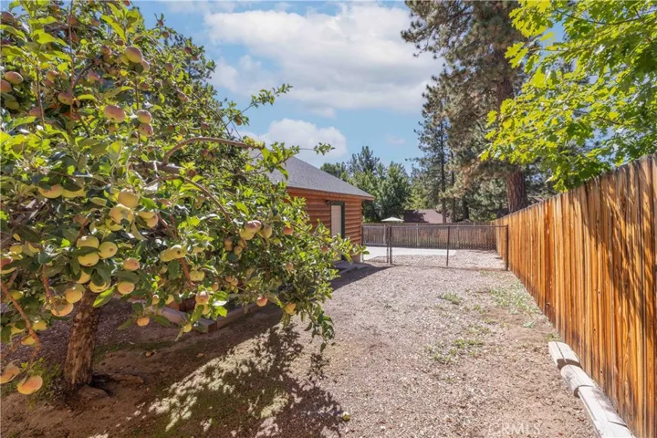 1129 Gold Mountain Drive, Big Bear City, California 92314