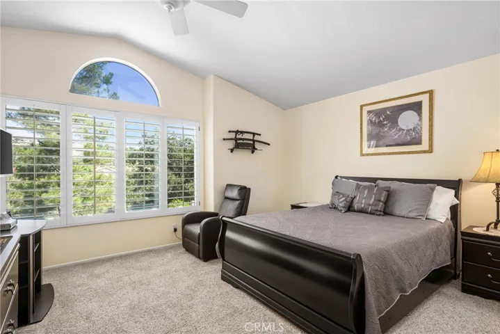 856 S Wildflower Lane, Anaheim Hills, California 92808