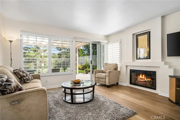 856 S Wildflower Lane, Anaheim Hills, California 92808