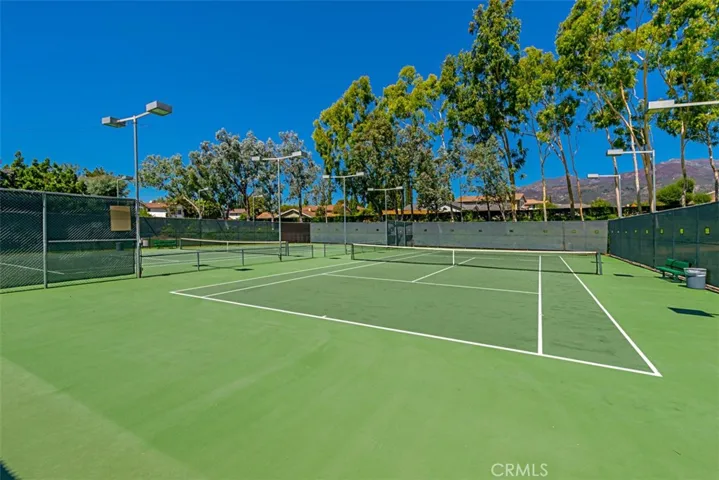 Neighborhood Amenities