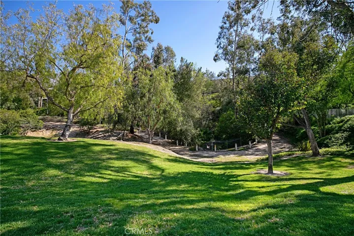 Local Trails