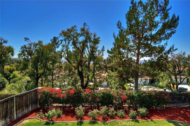Backyard overlooks a slope