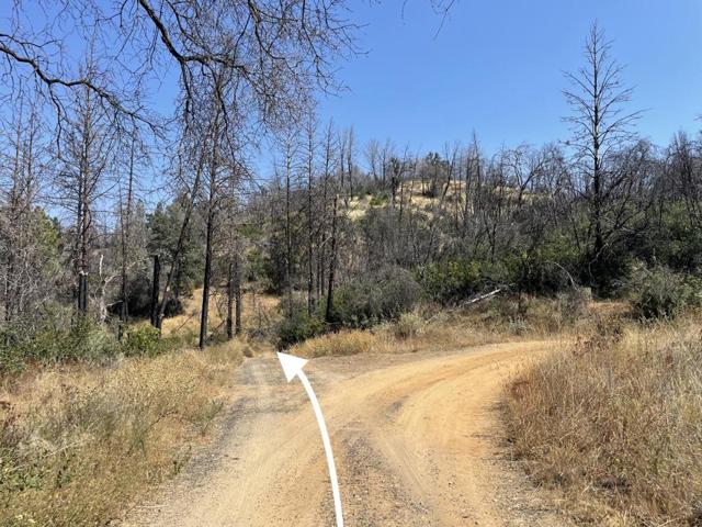 1975 Big Ridge Road, Berry Creek, California 95916