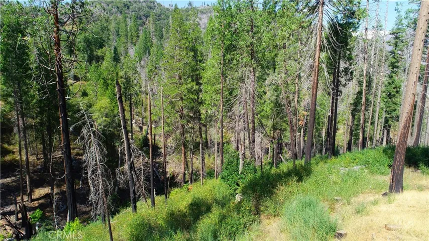 7212 Snyder Ridge Road, Mariposa, California 95338