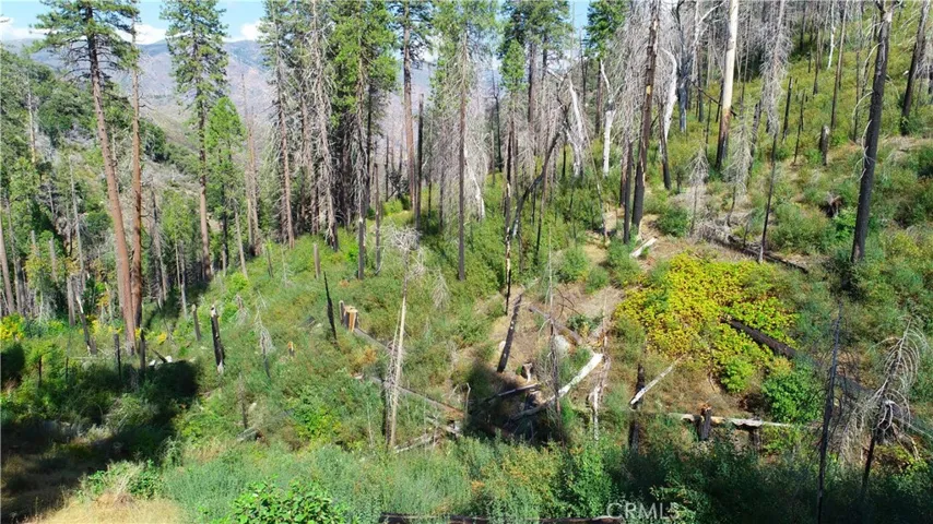 7212 Snyder Ridge Road, Mariposa, California 95338