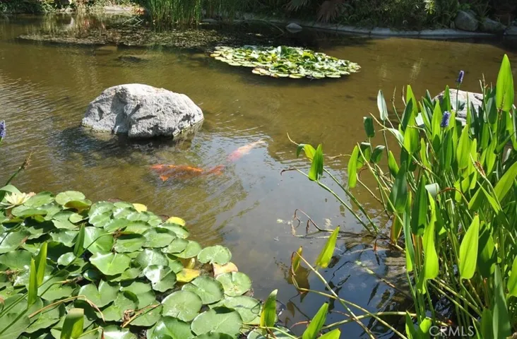 Koi ponds