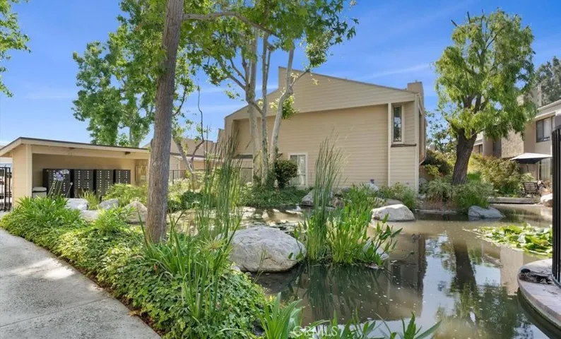 Pond
