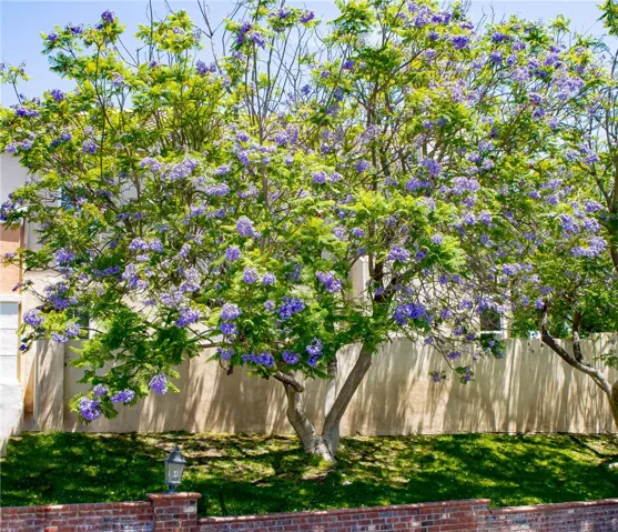 If having a pool is something you desire, don't dismiss this option just yet. With the necessary approval from the HOA board and input from qualified consultants, there may be potential to extend the wall and create a more spacious backyard.