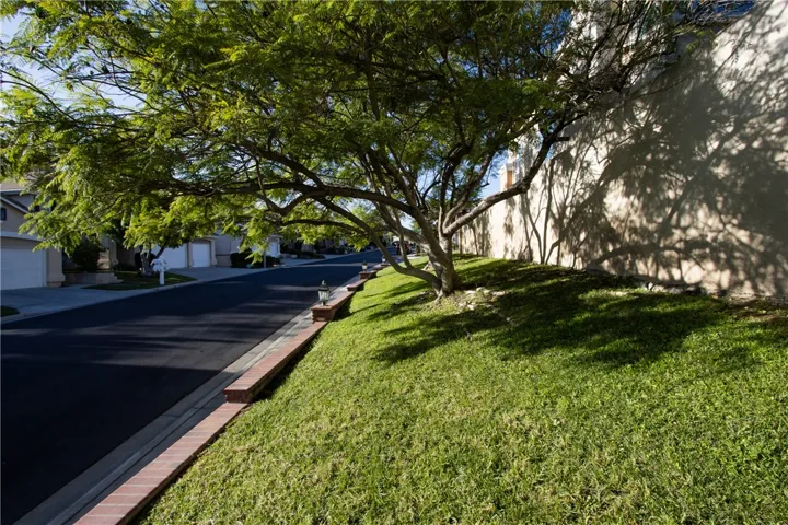Side front yard