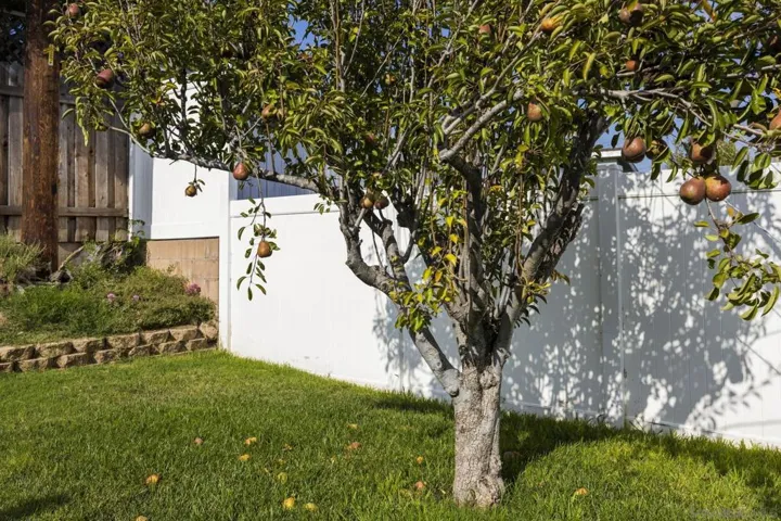 8831 Tacoma St, Ventura, California 93004