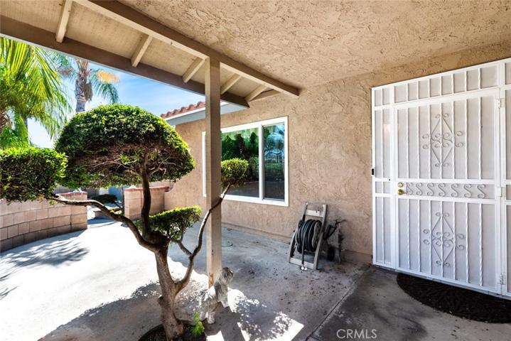 Patio Near Front Door