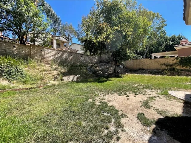 Spacious Backyard